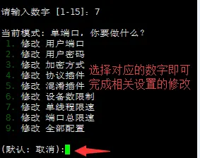 【自己搭建节点】完整版自建SSR/SS服务器教程
