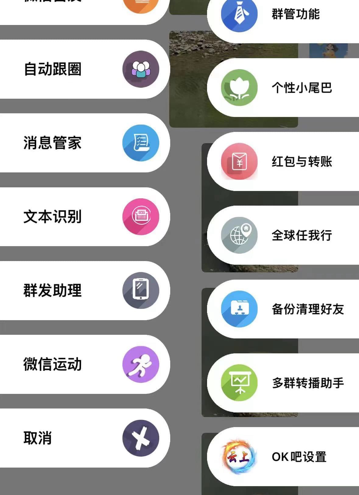 uczyw 微信 维多美